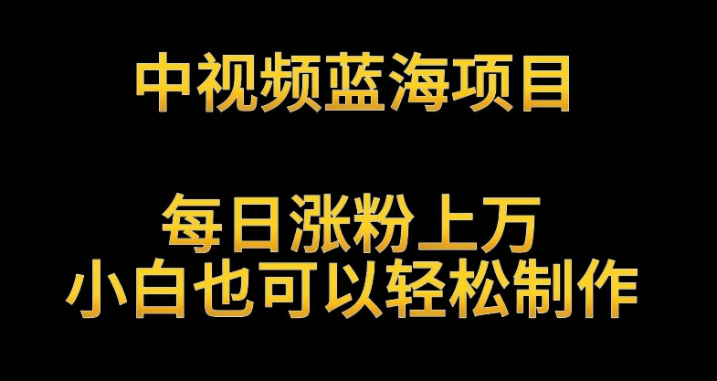 中视频蓝海项目，解读英雄人物生平，每日涨粉上万，小白也可以轻松制作，月入过万不是梦【揭秘】-风淘社