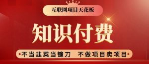 2024互联网项目天花板,新手小白也可以通过知识付费月入10W,实现财富自由【揭秘】-风淘社