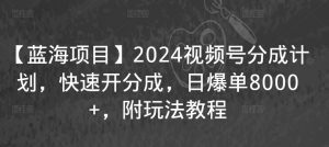 【蓝海项目】2024视频号分成计划，快速开分成，日爆单8000+，附玩法教程-风淘社