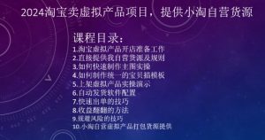 2024淘宝卖虚拟产品项目，提供小淘自营货源-风淘社