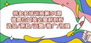 拼多多培训班第34期:做高价女装必盈利剖析选品/测款/运营/推广/拓展-风淘社
