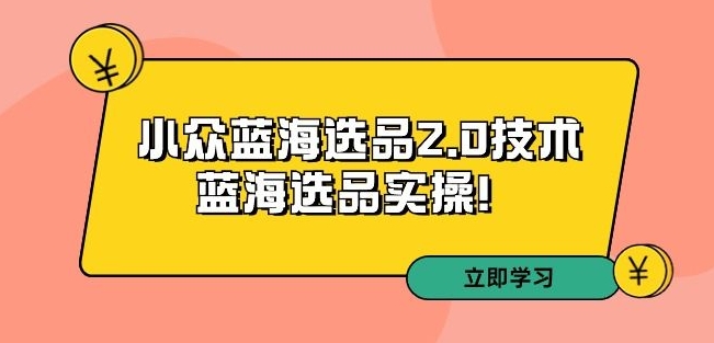 拼多多培训第33期：小众蓝海选品2.0技术-蓝海选品实操！-风淘社