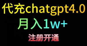 代充chatgpt4,日入500+,精准引流,暴力变现【揭秘】-风淘社