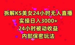 利用快手24小时无人美女直播,实操日入3000,24小时被动收益,内部保密玩法【揭秘】-风淘社