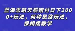 蓝海思路天猫赔付日下2000+玩法，两种思路玩法，保姆级教学【仅揭秘】-风淘社