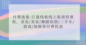 付费流量·巨量线索线上集训营课程,美发/美容/舞蹈培训/二手车/游戏/装修等付费投流-风淘社