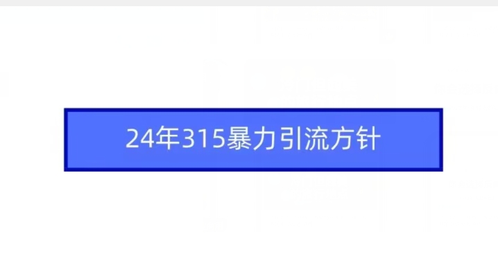 24年315暴力引流方针-风淘社