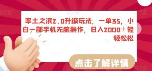 率土之滨2.0升级玩法,一单35,小白一部手机无脑操作,日入2000+轻轻松松【揭秘】-风淘社