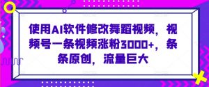 使用AI软件修改舞蹈视频,视频号一条视频涨粉3000+,条条原创,流量巨大【揭秘】-风淘社