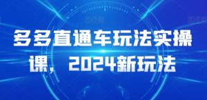 多多直通车玩法实操课,2024新玩法-风淘社
