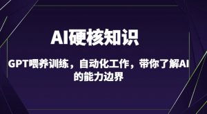 AI硬核知识-GPT喂养训练,自动化工作,带你了解AI的能力边界(10节课)-风淘社