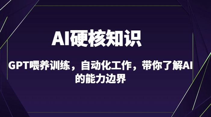 AI硬核知识-GPT喂养训练,自动化工作,带你了解AI的能力边界(10节课)-风淘社