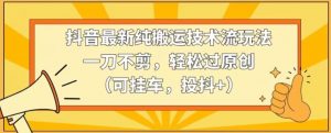 抖音最新纯搬运技术流玩法，一刀不剪，轻松过原创（可挂车，投抖+）【揭秘】-风淘社
