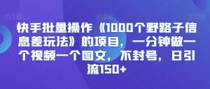 快手批量操作《1000个野路子信息差玩法》的项目,一分钟做一个视频一个图文,不封号,日引流150+【揭秘】-风淘社