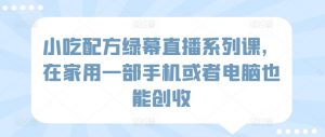 小吃配方绿幕直播系列课,在家用一部手机或者电脑也能创收-风淘社