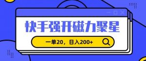 信息差赚钱项目，快手强开磁力聚星，一单20，日入200+【揭秘】-风淘社