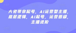 大佬带你起号,AI运营型主播,底层逻辑,AI起号,运营晋级,主播进阶-风淘社