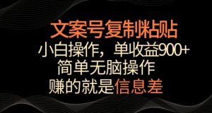 文案号掘金，简单复制粘贴，小白操作，单作品收益900+【揭秘】-风淘社