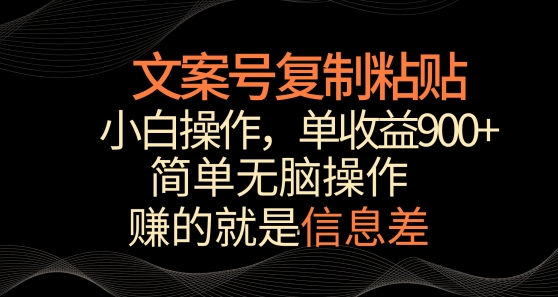 文案号掘金，简单复制粘贴，小白操作，单作品收益900+【揭秘】-风淘社