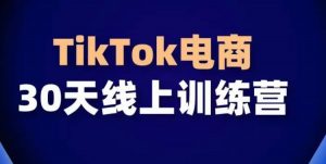 TikTok电商带货30天线上课,不可错过的全球流量洼地!-风淘社