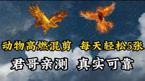 动物超燃混剪，每天轻松5张，剪辑简单大家爱看【揭秘】-风淘社