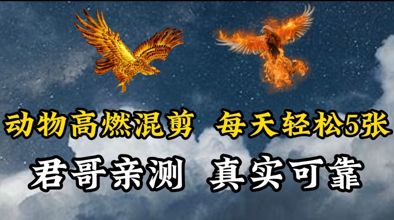 动物超燃混剪，每天轻松5张，剪辑简单大家爱看【揭秘】-风淘社