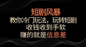 短剧风暴,教你冷门玩法,玩转短剧,收钱收到手软【揭秘】-风淘社