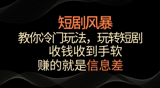 短剧风暴,教你冷门玩法,玩转短剧,收钱收到手软【揭秘】-风淘社