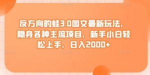 反方向的蛙3.0图文最新玩法,隐身各种主流项目,新手小白轻松上手,日入2000+【揭秘】-风淘社