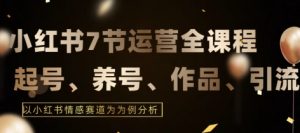 7节小红书运营实战全教程,结合最新情感赛道,打通小红书运营全流程【揭秘】-风淘社
