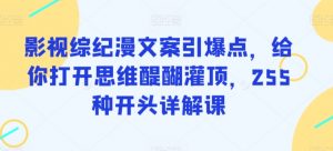 影视综纪漫文案引爆点,给你打开思维醍醐灌顶,255种开头详解课-风淘社