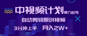 中视频计划暴力起号,自动剪辑原创视频,3分钟上手,月入2W+【揭秘】-风淘社