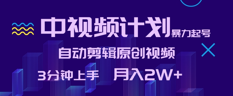 中视频计划暴力起号,自动剪辑原创视频,3分钟上手,月入2W+【揭秘】-风淘社