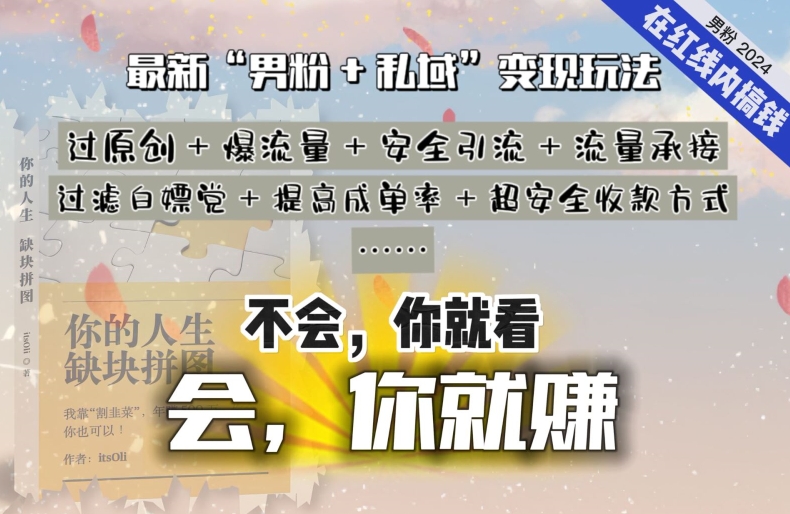 2024，“男粉+私域”还是最耐造、最赚、最轻松、最愉快的变现方式【揭秘】-风淘社