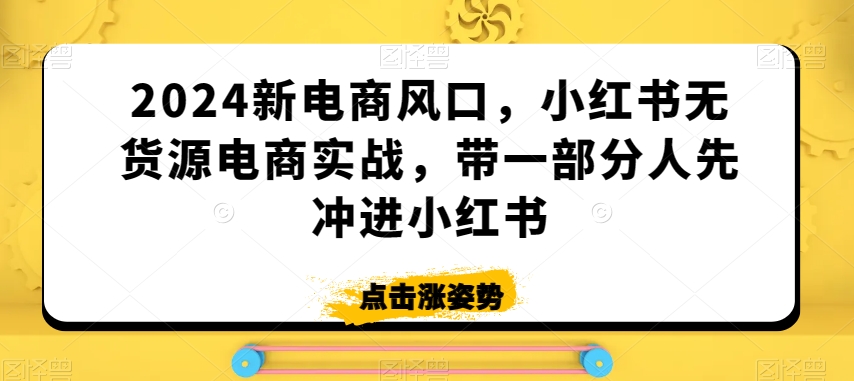 2024新电商风口,小红书无货源电商实战,带一部分人先冲进小红书-风淘社