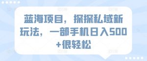蓝海项目，探探私域新玩法，一部手机日入500+很轻松【揭秘】-风淘社