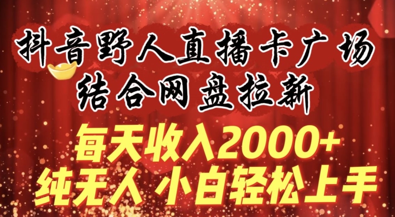每天收入2000+,抖音野人直播卡广场,结合网盘拉新,纯无人,小白轻松上手【揭秘】-风淘社