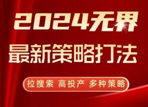 2024无界最新策略打法，拉搜索，高投产，多种策略-风淘社