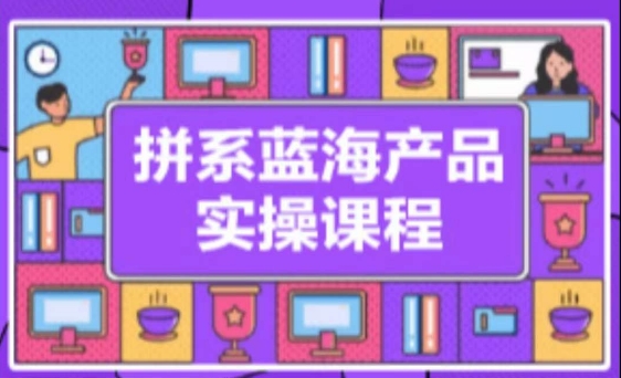 拼系冷门蓝海产品实操课程,从注册店铺到选品上架到流量维护环环相扣-风淘社