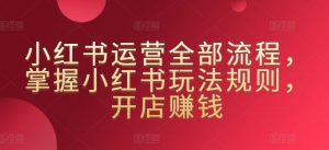 小红书运营全部流程,掌握小红书玩法规则,开店赚钱-风淘社