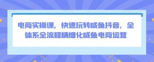 电商实操课,快速玩转咸鱼抖音,全体系全流程精细化咸鱼电商运营-风淘社