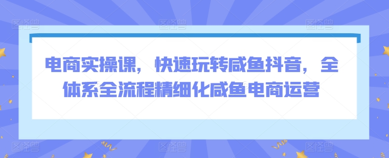 电商实操课,快速玩转咸鱼抖音,全体系全流程精细化咸鱼电商运营-风淘社