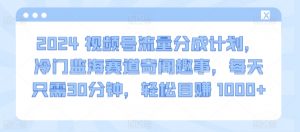 2024视频号流量分成计划,冷门监海赛道奇闻趣事,每天只需30分钟,轻松目赚 1000+【揭秘】-风淘社
