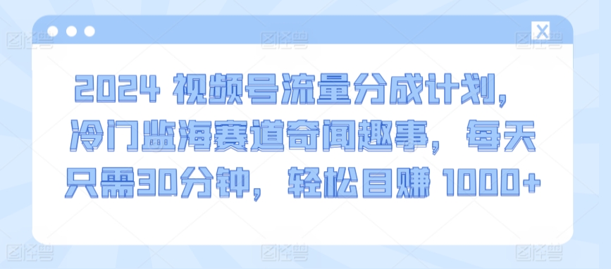 2024视频号流量分成计划,冷门监海赛道奇闻趣事,每天只需30分钟,轻松目赚 1000+【揭秘】-风淘社