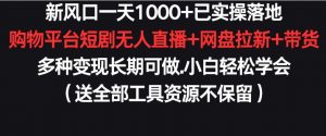 新风口一天1000+已实操落地购物平台短剧无人直播+网盘拉新+带货多种变现长期可做【揭秘】-风淘社