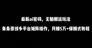 最新ai流量密码，傻瓜式搬运玩法，条条原创，多平台矩阵操作，月赚5万+保姆式教程【揭秘】-风淘社