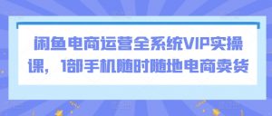 闲鱼电商运营全系统VIP实操课,1部手机随时随地电商卖货-风淘社