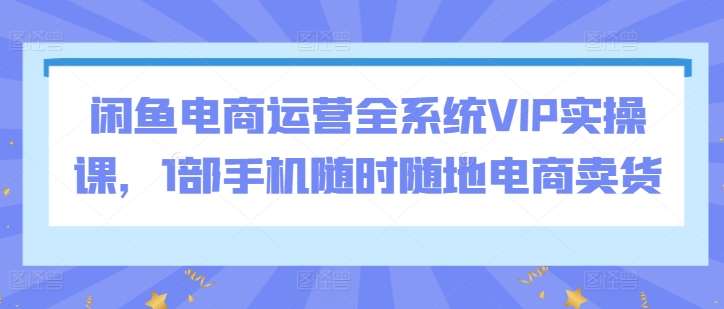 闲鱼电商运营全系统VIP实操课,1部手机随时随地电商卖货-风淘社