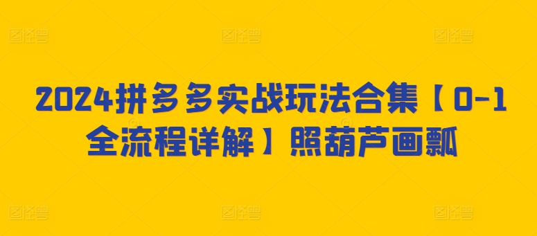 2024拼多多实战玩法合集【0-1全流程详解】照葫芦画瓢-风淘社