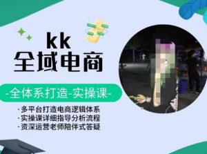 KK全域电商,全体系打造实操课,多平台打造电商逻辑体系-风淘社